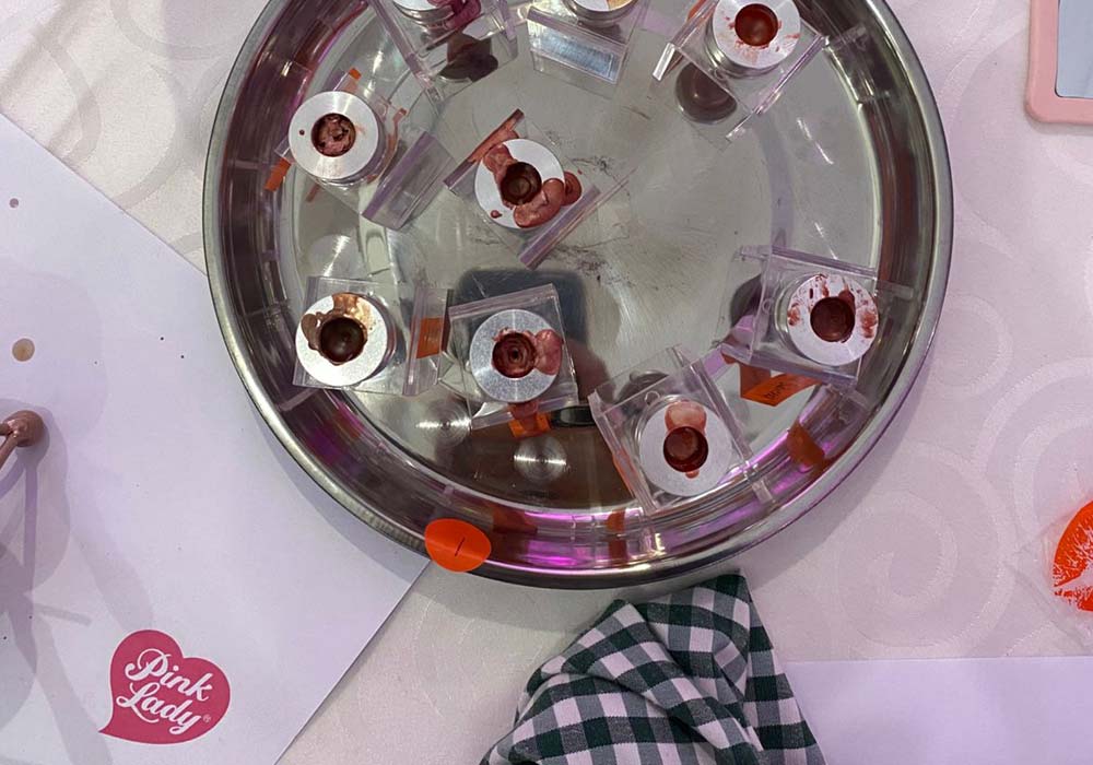 LiPLAB Joins Pink Lady Apples for Crafts for Cancer